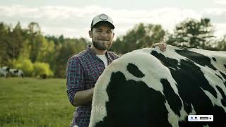 Information about Holstein Friesian Cow  Documentary [upl. by Trygve404]