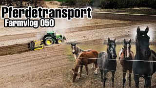 Staubiges Ackern  Pferdetransport 🐴 Osterroadtrip zu den Sorben  Farmvlog 050 [upl. by Halilad]