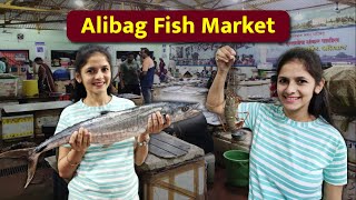 Alibag Fish Market  Wholesale  Retail  PNP Nagar  अलिबाग मच्छी मार्केट  Shrunkhala Naik Vlogs [upl. by Milson405]