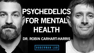 Dr Robin CarhartHarris The Science of Psychedelics for Mental Health  Huberman Lab Podcast [upl. by Janos204]