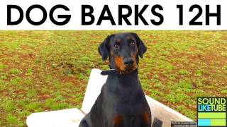 DOG BARKING 12 Hours Sound Effect [upl. by Pedersen]