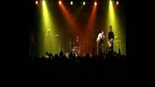 Sham 69  What Have We Got  Live 2003 [upl. by Kantos]