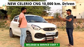 NEW CELERIO CNG 2022 AFTER DRIVING 10000 Km  DETAILED OWNER EXPERIENCE [upl. by Findley]