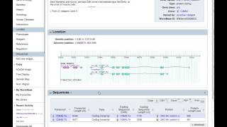 How to find the 3UTR sequence of a gene on WormBase [upl. by Ednargel]