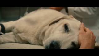 Marley and me ending [upl. by Ellery]