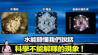 科學家發現有一種聲音，竟然出現神的樣子，甚至治愈了不治之症，但是最後一切都被消失   馬臉姐 [upl. by Adnahsat]