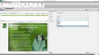 DATAflor Digitaler Posteingang DPE  4  Workflow Sonstiges [upl. by Moreno142]