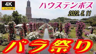 Huis Ten Bosch ✨ ハウステンボス 🌹 バラ祭 🌹 アジア最大級 ✨薔薇見頃です🌹ミッフィーセレブレーションパレード も 🤗 2023511 [upl. by Naejarual]