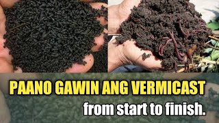 Paano Gumawa ng Vermicast  DIY Vermicast [upl. by Yllaw]