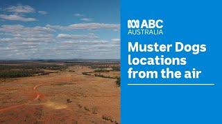 Outback landscapes showcased from the air 🛩📷  Muster Dogs  ABC Australia [upl. by Adaline]