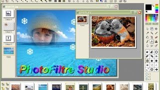 PhotoFiltre Studio FULL CRACK ESPAÑOL XP y W7 [upl. by Terrag]