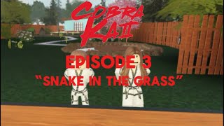 Cobra kai Season 2 Episode 3 “Snake in The Grass” full episode  Roblox [upl. by Anayi]