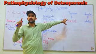 Osteoporosis Pathophysiology by IMTIAZ AFRIDI GBSN semester iv [upl. by Dania]