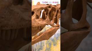 10 MindBlowing Paleontology Facts Revealed [upl. by Mayda207]