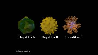 Viral hepatitis  Hepatology dictionary [upl. by Engedus873]