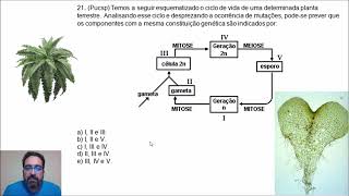 QUESTÕES SOBRE ALGAS E CICLOS DE VIDA [upl. by Bunder541]