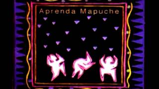 Aprenda Mapuche  Audio Completo [upl. by Huskey]