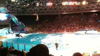 Shamu Attack DONT WATCH [upl. by Bronk111]