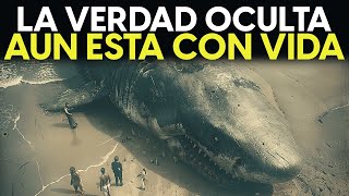 DESCUBRIERON El MIEDO Del Megalodón ¿A Quién TEMÍA eEl Monstruo De Los Océanos [upl. by Sil]