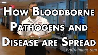 How Bloodborne Pathogens and Disease are Spread [upl. by Ojoj320]