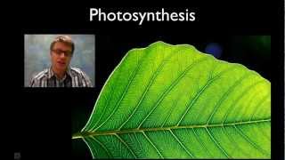 Photosynthesis [upl. by Farly]