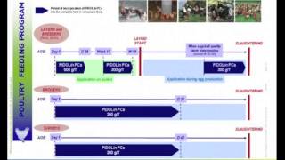 Introduction of PIDOLinPCa calcium pidolate  BPollet [upl. by Polito]