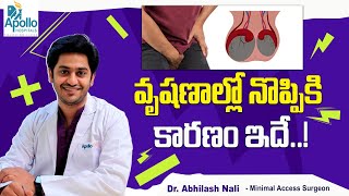 వృషణాల్లో నొప్పి Common Causes of Testicular Pain in Telugu  Testicular Torsion  Dr Abhilash Nali [upl. by Celio]