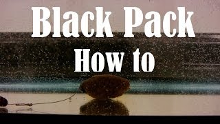 How to make a Black Pack Packbait aka Wheat Germ for carp fishing tutorial underwater [upl. by Hugon]