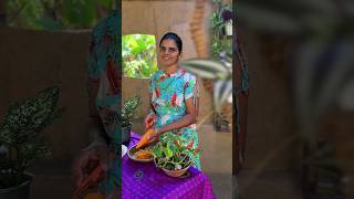 Carrot Sweet Recipes කැරට් වලින් රසම රස අතුරුපසක්😋😋😋 gajar barfi  carrot barfi [upl. by Eiramlehcar732]