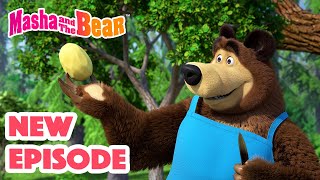 Masha and the Bear 2024 🎬 NEW EPISODE 🎬 Best cartoon collection 🥔 Soup Pursuit 🥕🍲 [upl. by Prebo931]