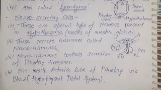 04 Neurosecretory cells of Nervous tissue For AIIMS JIPMER NEET [upl. by Ralip]