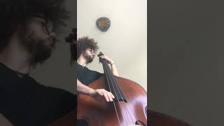 Charles Mingus Haitian Fight Song Bass IntroSolo [upl. by Brittan557]