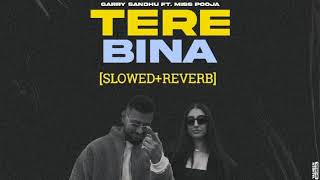 Tere Bina  Garry sandh Ft Miss Pooja  new Punjabi lofi song  slowed reverb [upl. by Fakieh]