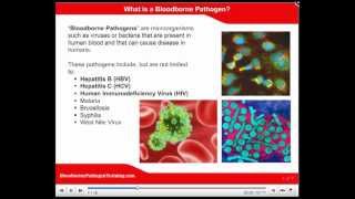 OSHA Bloodborne Pathogen Training Bloodborne Pathogen Video [upl. by Gretchen754]