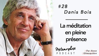 28 Danis Bois  La méditation en pleine présence [upl. by Hoskinson364]