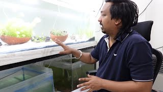 Low tech Non CO2 Planted tank Planted tank set up Aquatic plants Video  2 [upl. by Aneerol634]