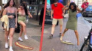 Scariest reactions ever with Snake Prank [upl. by Marpet584]