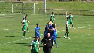 Highlights I Westfalenliga St2 425 1SP SV Sodingen  SC Westfalia Herne [upl. by Alihs]