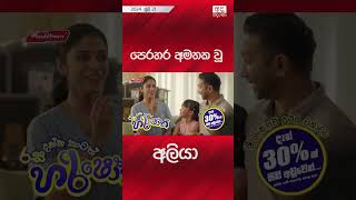 පෙරහර අමතකවූ අලියා [upl. by Nitza]