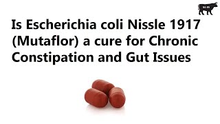 Is Escherichia coli Nissle 1917 Mutaflor a cure for Chronic Constipation and Gut Issues [upl. by Yasu]