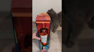 Unboxing  Macallan A Night on Earth  The Journey  Limited edition 2023 macallan [upl. by Rodina]