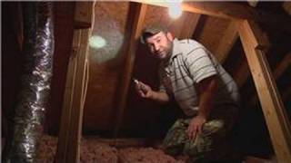 Pest Control  How to Remove Bees From the Attic [upl. by Atterrol96]