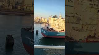 europe netherlands rotterdam europort travel ferry hulltorotterdam shorts short port 4k [upl. by Neelear587]