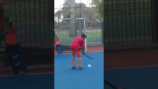 field hockey hitting technique [upl. by Laden]