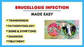 Brucella infection Brucellosis pathophysiology symptoms treatment microbiology made easy [upl. by Essam]