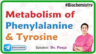 Metabolism of Phenylalanine and Tyrosine  Phenylketonuria PKU Alkaptonuria and Tyrosinemia [upl. by Glinys]