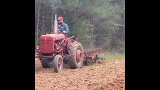 daschund dog riding a farmall super A countrymusic farmall ih garden tractor [upl. by Fredie380]