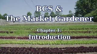 Why JM Fortier Uses a BCS TwoWheel Tractor in his Market Garden [upl. by Benildis]