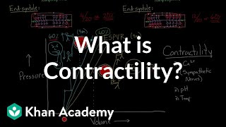 What is contractility  Circulatory system physiology  NCLEXRN  Khan Academy [upl. by Airtened907]