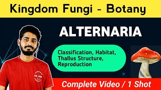 Alternaria Fungi  Systematic Position  Thallus Structure  Reproduction  Life Cycle [upl. by Kasevich552]